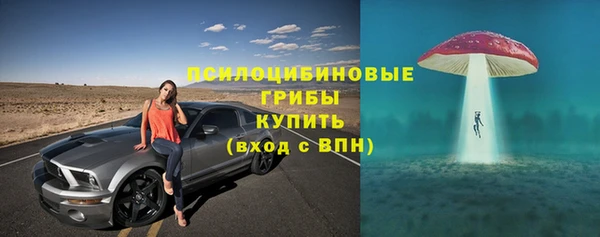 ECSTASY Краснослободск